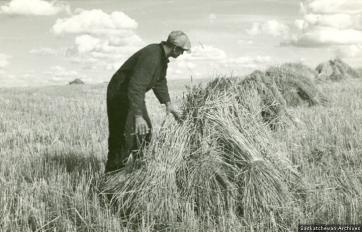 Agriculture – Stooks and Stooking, Gravelbourg District. Photograph, PAS R-A15121-1